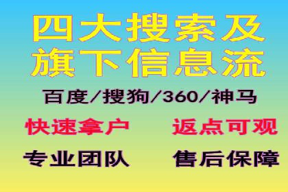 提升转化率：SEM广告投放的实战案例分享